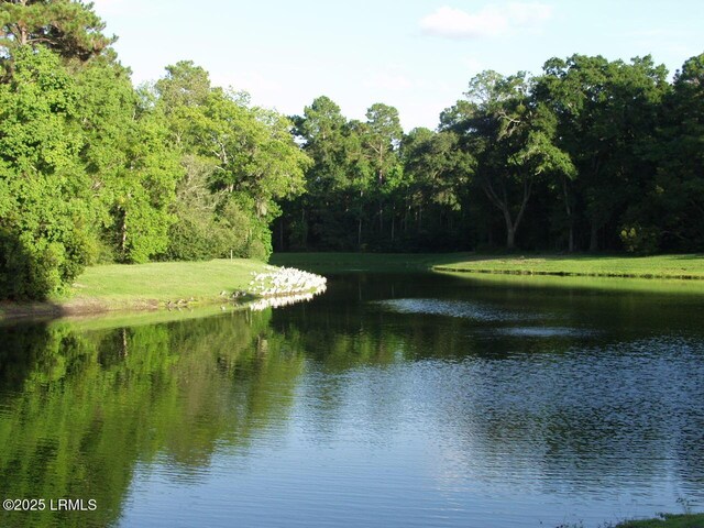 405 Distant Island Dr, Beaufort, SC 29907 - photo 10