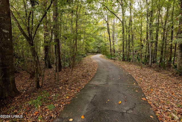 view of road