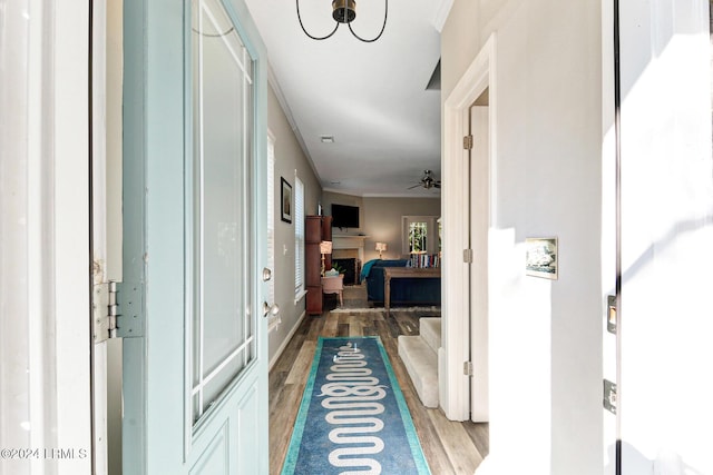 hallway with hardwood / wood-style floors