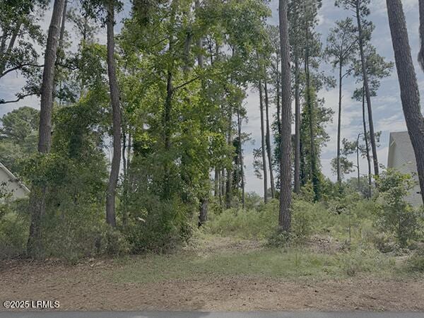 251 Locust Fence Rd, Dataw Island, SC 29920 - photo 1