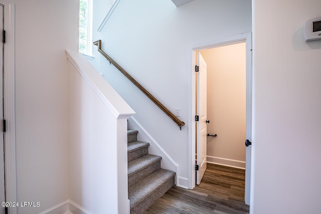 stairs featuring wood-type flooring