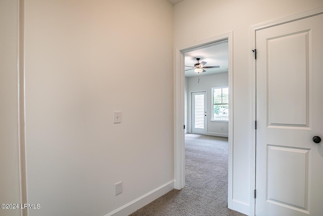 hallway with carpet floors