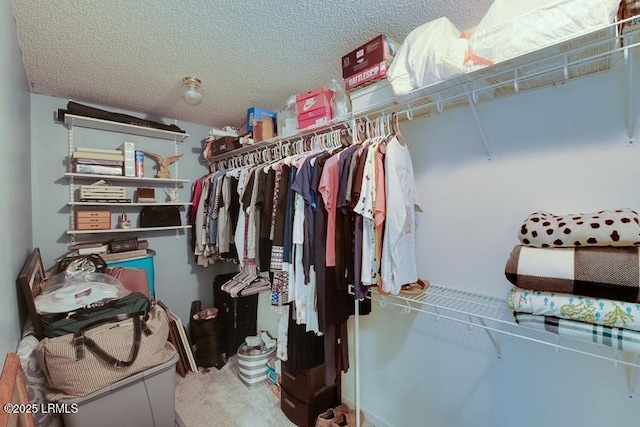71 Taylor Mill Rd, Ridgeland, SC 29936 - photo 29