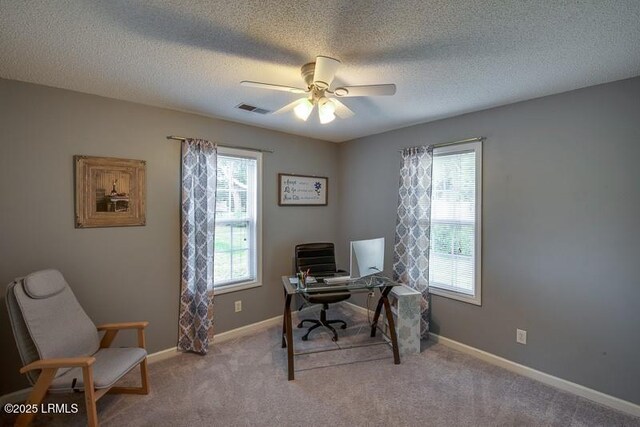 71 Taylor Mill Rd, Ridgeland, SC 29936 - photo 34