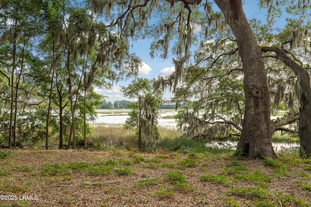 1632 Hampton Dr, Beaufort, SC 29906 - photo 19