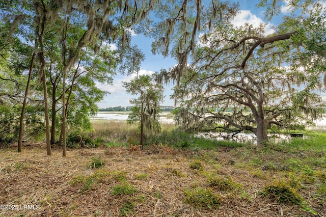 1632 Hampton Dr, Beaufort, SC 29906 - photo 20