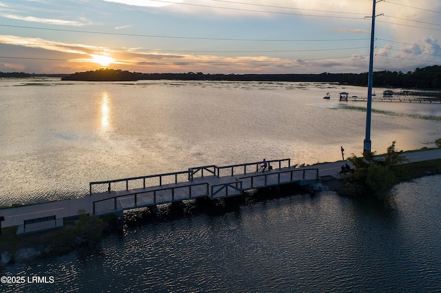 water view featuring a boat dock