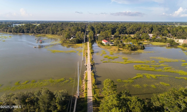 bird's eye view featuring a water view and a forest view