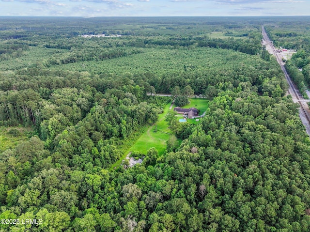 21 River Rd, Yemassee, SC 29945 - aerial view of property's location with a forest