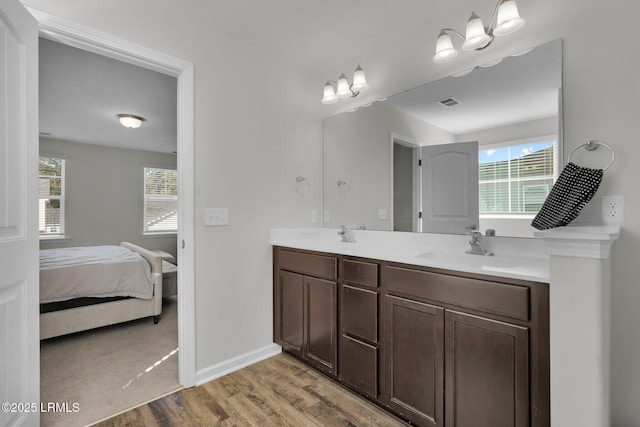 bathroom with wood-type flooring and vanity