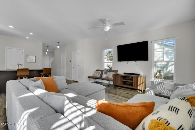 living room featuring ceiling fan and hardwood / wood-style floors