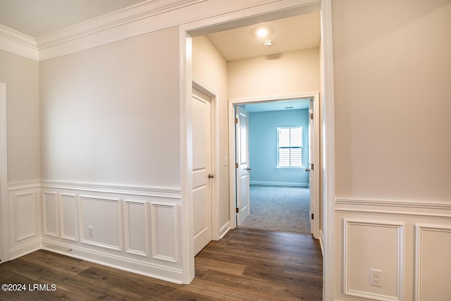 corridor with dark wood-type flooring and ornamental molding