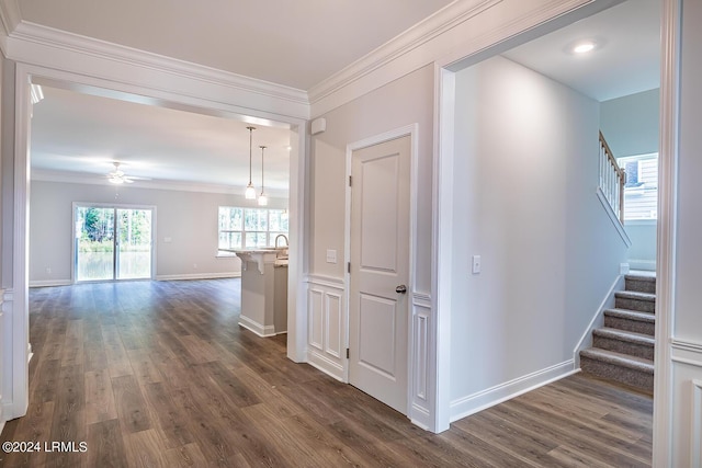 hall with crown molding and dark hardwood / wood-style flooring