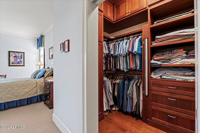 walk in closet featuring hardwood / wood-style flooring