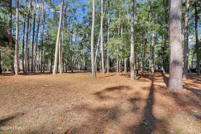 Listing photo 3 for 117 Summerton Dr, Bluffton SC 29910