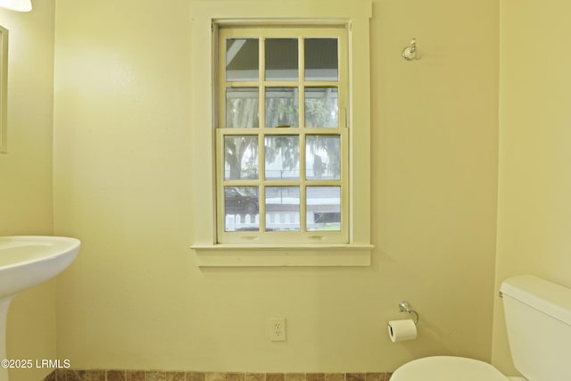 1510 Congress St, Beaufort, SC 29902 - photo 9