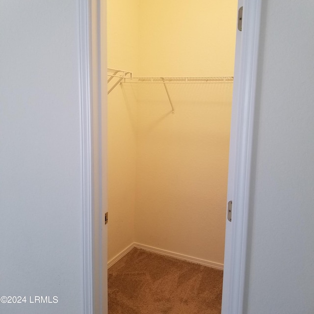 spacious closet with carpet flooring