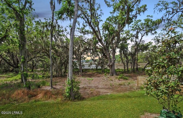 128 Teal Bluff Blvd, Seabrook, SC 29940 - view of yard