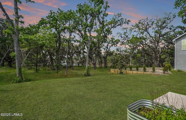 128 Teal Bluff Blvd, Seabrook, SC 29940 - yard at dusk featuring a yard