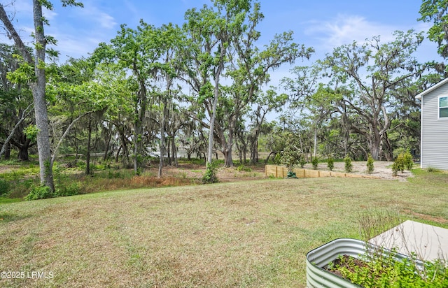 128 Teal Bluff Blvd, Seabrook, SC 29940 - view of green lawn