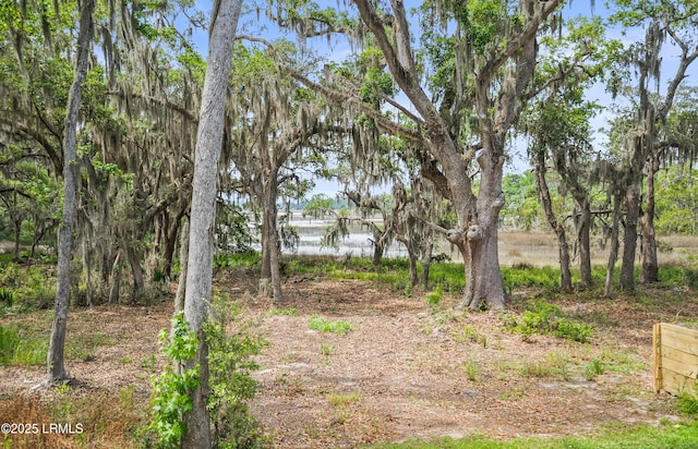 128 Teal Bluff Blvd, Seabrook, SC 29940 - view of yard featuring a water view