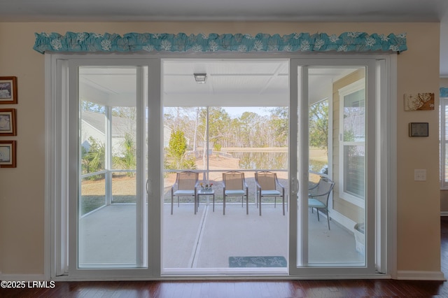 entryway featuring hardwood / wood-style flooring and plenty of natural light