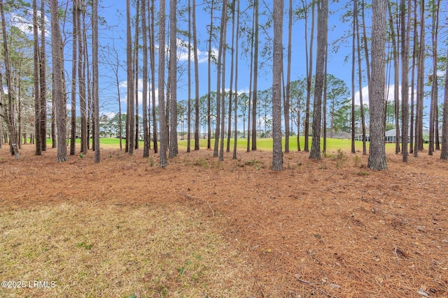 view of local wilderness