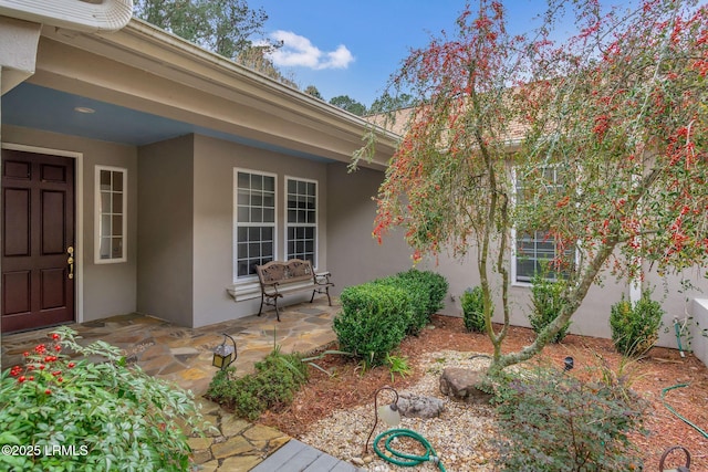 entrance to property featuring a patio and stucco siding