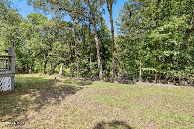 4944 Tidal Walk Ln, Beaufort, SC 29907 - view of green lawn