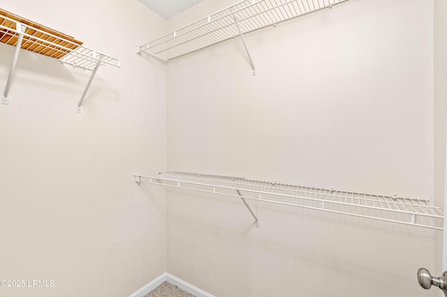 897 Fording Island Rd Unit 301, Bluffton, SC 29910 - view of spacious closet