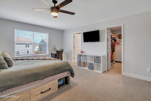 carpeted bedroom featuring a walk in closet, ceiling fan, and a closet