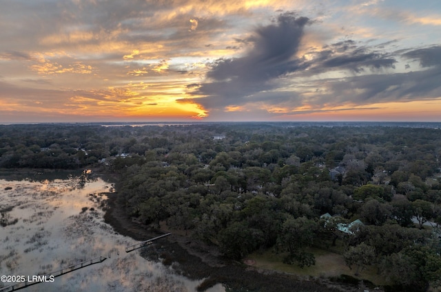 aerial view at dusk with a view of trees