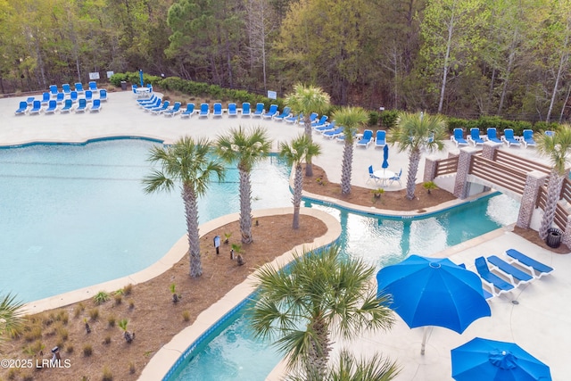 120 Sifted Grain Rd, Bluffton, SC 29909 - community pool featuring a forest view and a patio area