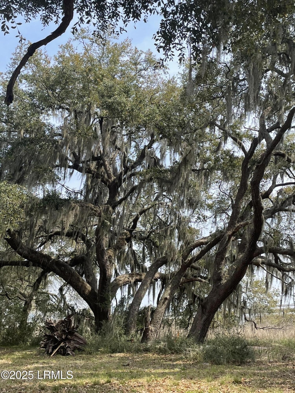 76 Priesters Rd, Seabrook, SC 29940