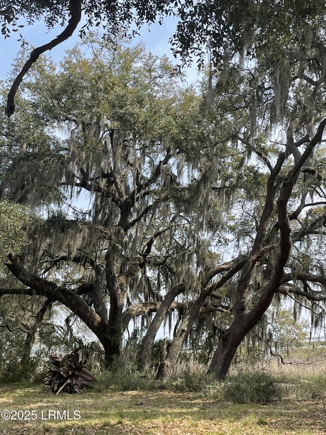 76 Priesters Rd, Seabrook, SC 29940