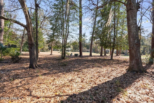 view of local wilderness