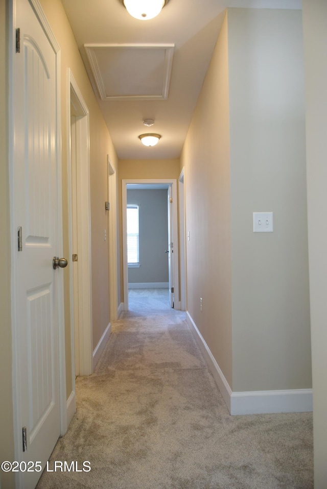 corridor featuring light colored carpet