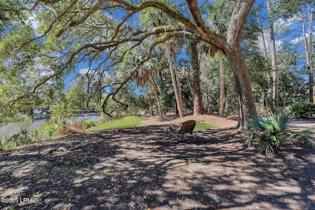 34 W Beach Lagoon Dr, Hilton Head Island, SC 29928 - view of yard