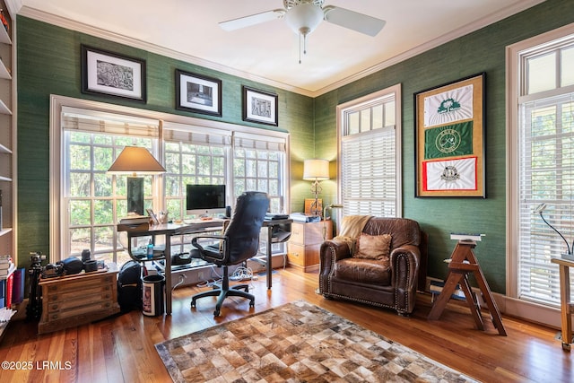 office area with hardwood / wood-style flooring, ceiling fan, and crown molding