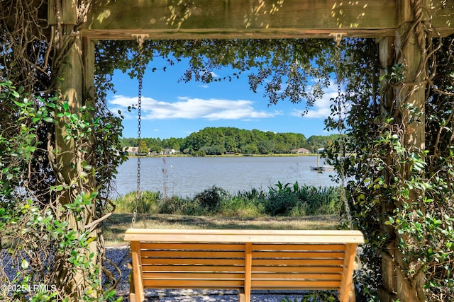 101 Redtail Dr, Bluffton, SC 29909 - water view