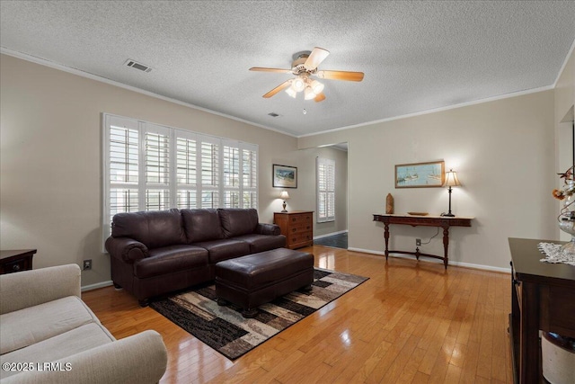101 Redtail Dr, Bluffton, SC 29909 - living area featuring ceiling fan, crown molding, light wood finished floors, and a textured ceiling