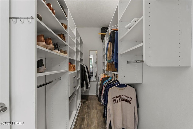 101 Redtail Dr, Bluffton, SC 29909 - spacious closet with dark wood finished floors