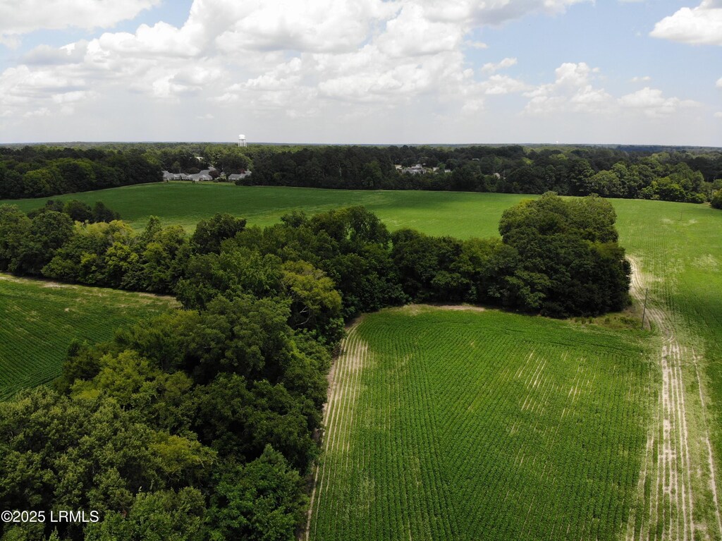 TBD Airport Rd, Bennettsville, SC 29512 - photo 1