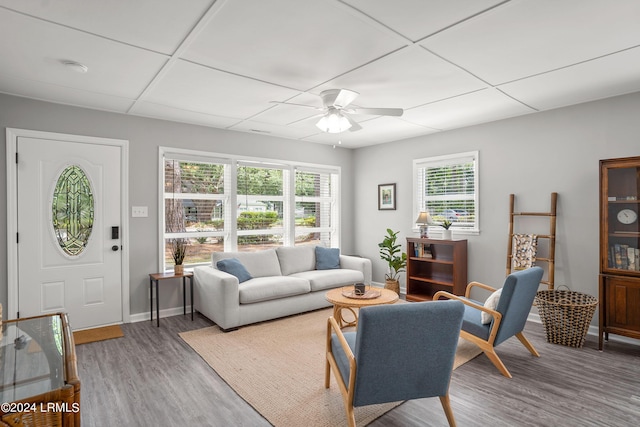 living room featuring a wealth of natural light, hardwood / wood-style floors, a drop ceiling, and ceiling fan