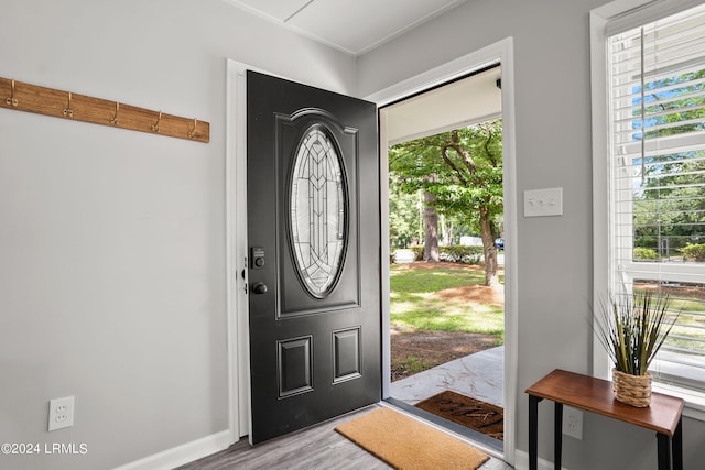 entrance foyer with wood-type flooring