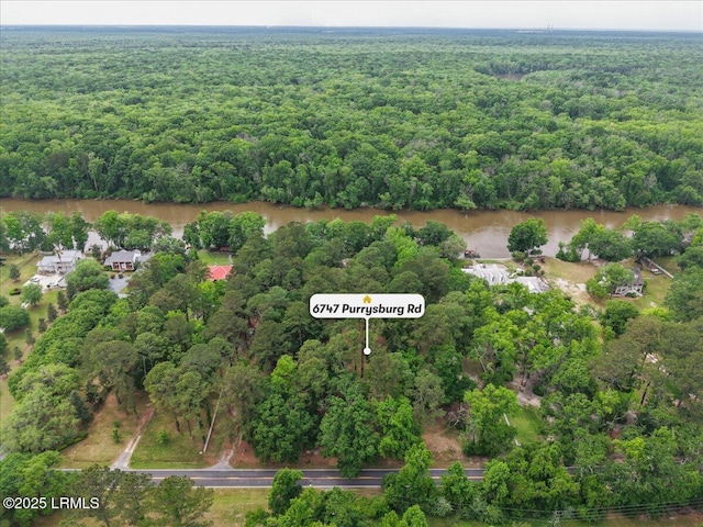 drone / aerial view featuring a view of trees