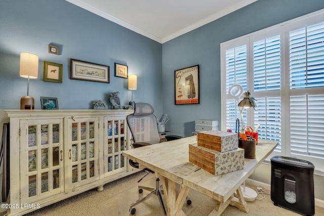 office area with carpet, crown molding, and baseboards