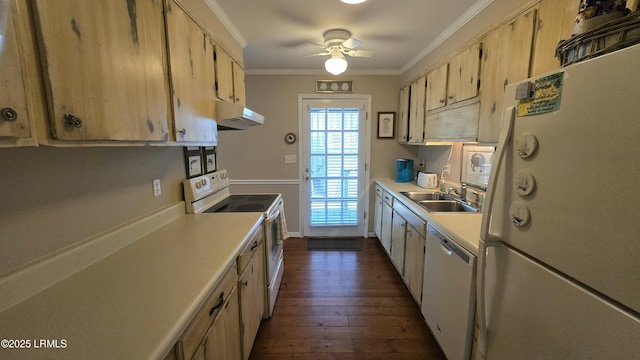 kitchen with under cabinet range hood, white appliances, light countertops, and a sink