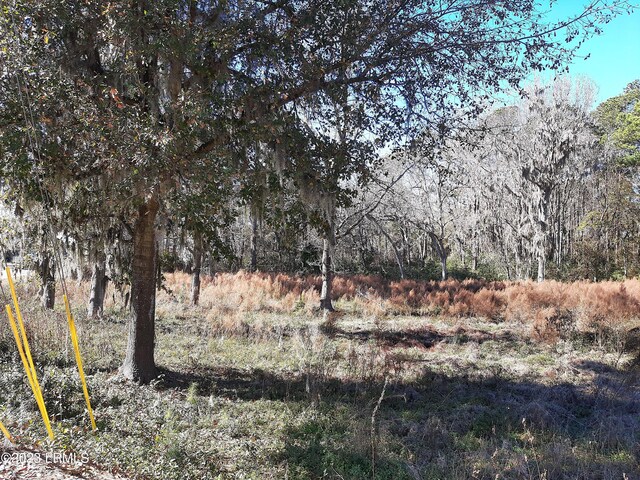 Listing photo 3 for Address Not Disclosed, Saint Helena Island SC 29920