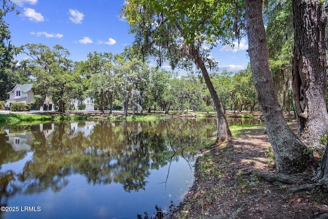 106 Coosaw Club Dr, Beaufort, SC 29907 - photo 87